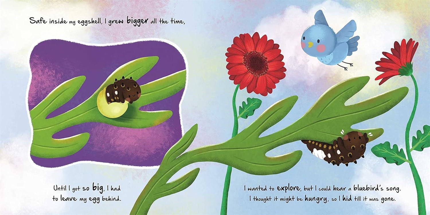 Little Caterpillar Board Book